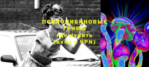 винт Тайга