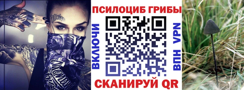 Псилоцибиновые грибы Magic Shrooms  Старая Купавна 